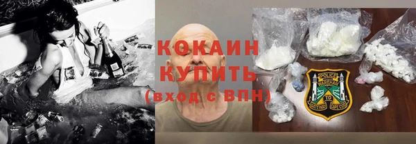 крисы Козловка