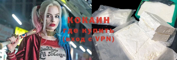 крисы Козловка