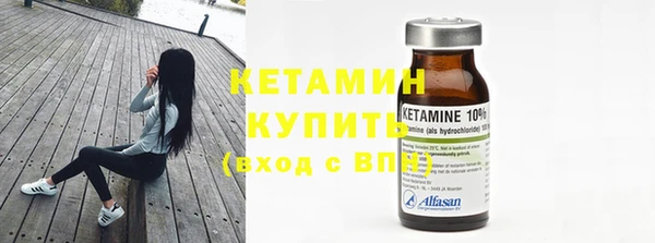 крисы Новодвинск