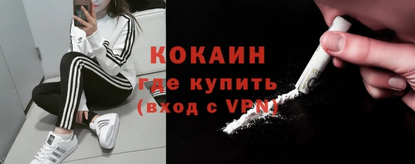 мдпв Няндома