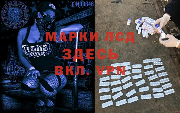 крисы Козловка