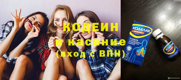 крисы Новодвинск