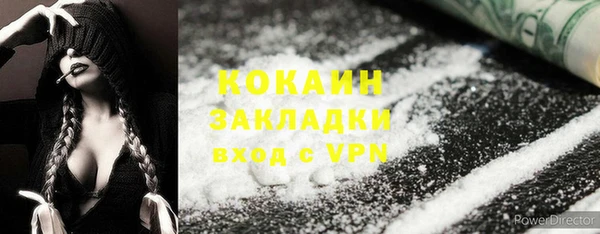 мдпв Няндома