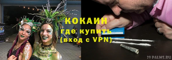 СК Новокубанск