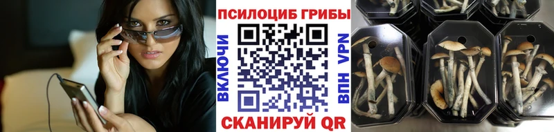 Галлюциногенные грибы Magic Shrooms  Карасук 